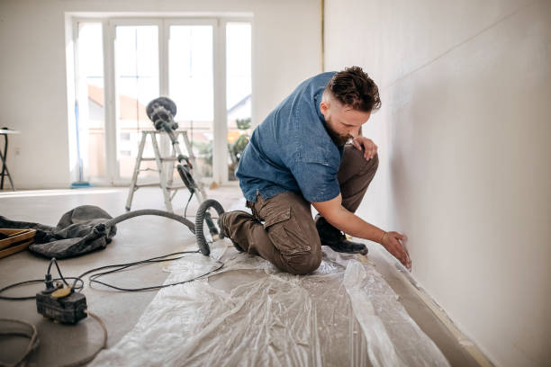  Oak Lawn, IL Drywall & Painting Services Pros